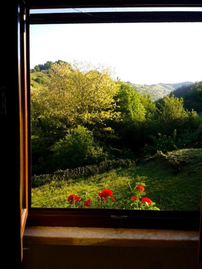 Agriturismo Il Casale Pica Posta Kültér fotó