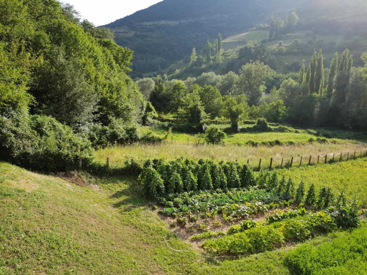 Agriturismo Il Casale Pica Posta Kültér fotó