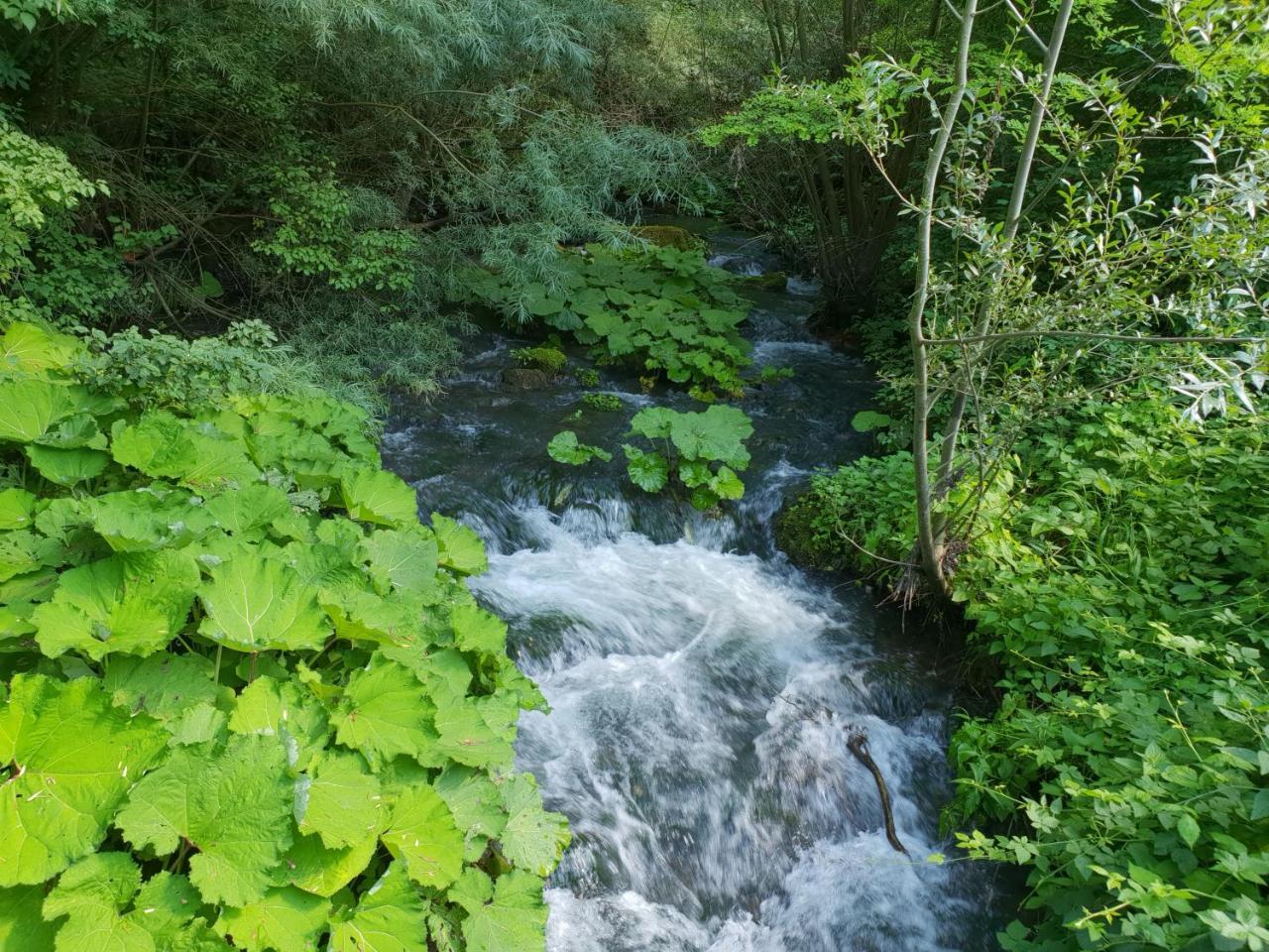 Agriturismo Il Casale Pica Posta Kültér fotó